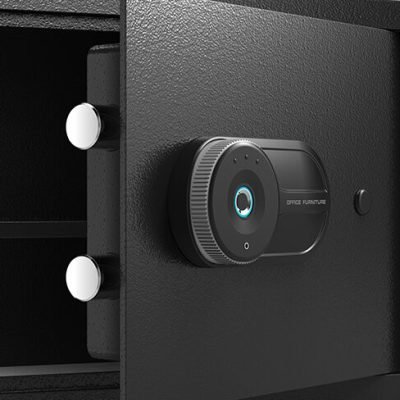 Fingerprint Compact Safe Box